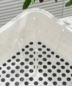 z5781203791280 88ed767d634676ce466f9c2a02490cd8