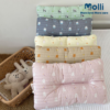 Gối chần bông chống lõm đầu cho bé Molli